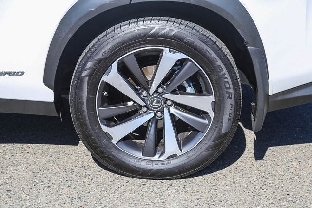 2020 Lexus NX 300h